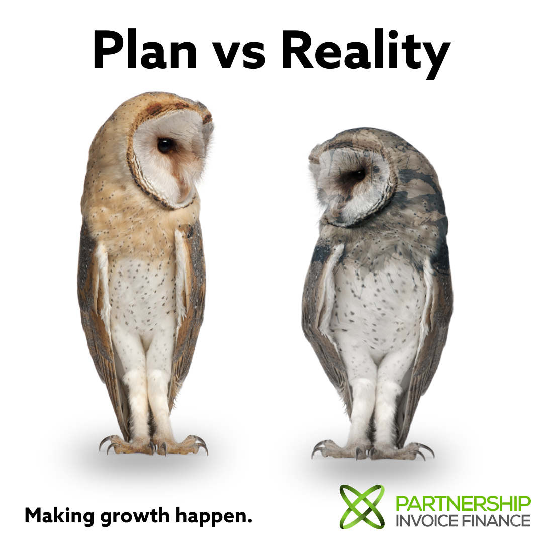 Plan vs Reality - Managing Cash Flow in a Business Crisis