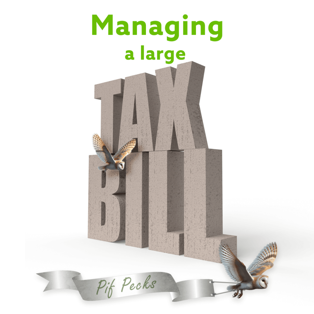 Managing a large tax bill