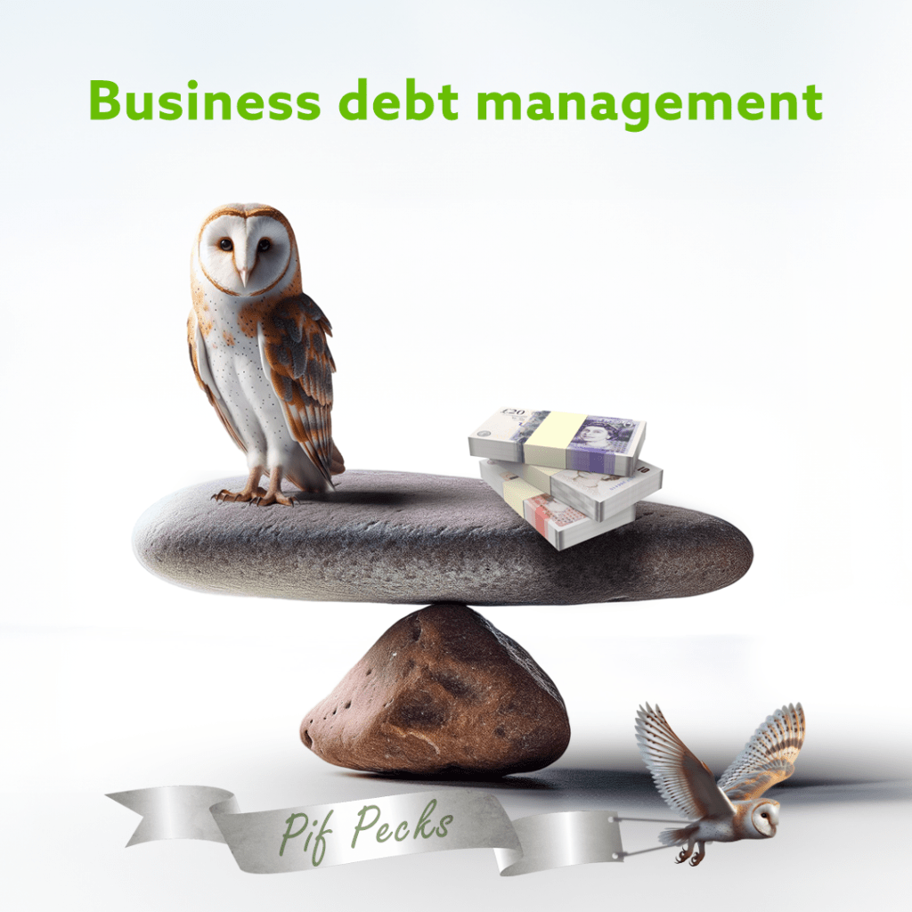 Owl and cash notes balance out on a rock. Title read "Business Debt Management" Partnership Invoice Finance logos included