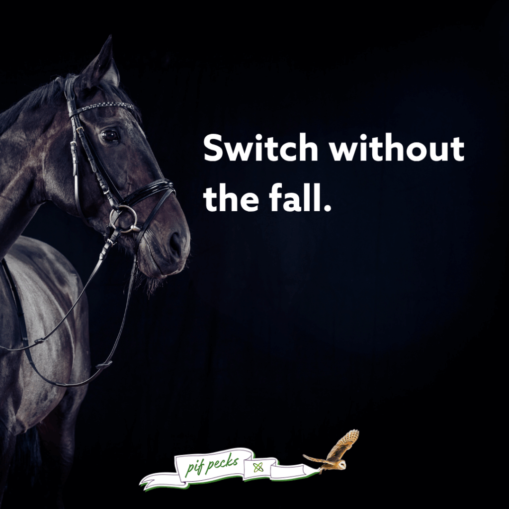 Switch without the fall. Black horse in the image, and pif pecks banner present