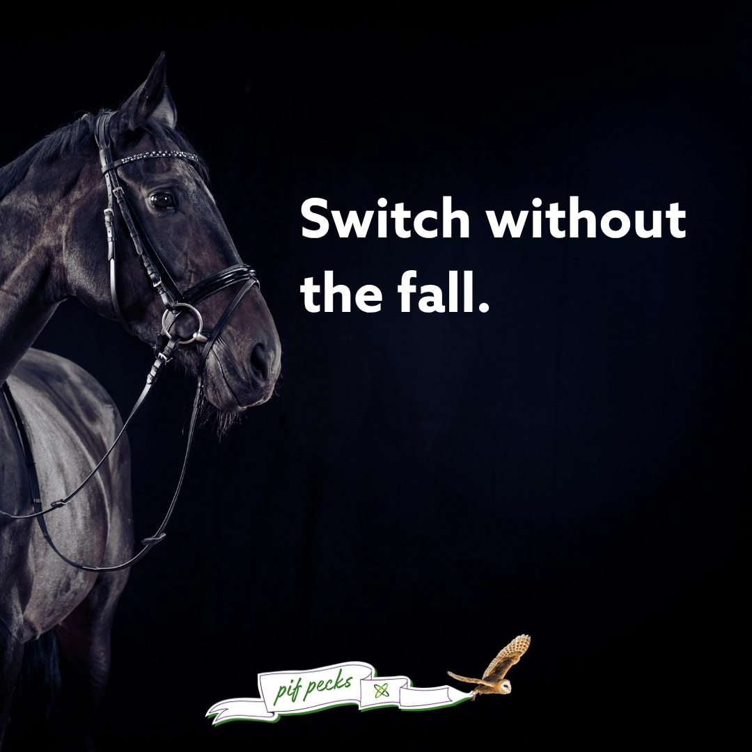 Switch without the fall. Black horse in the image, and pif pecks banner present