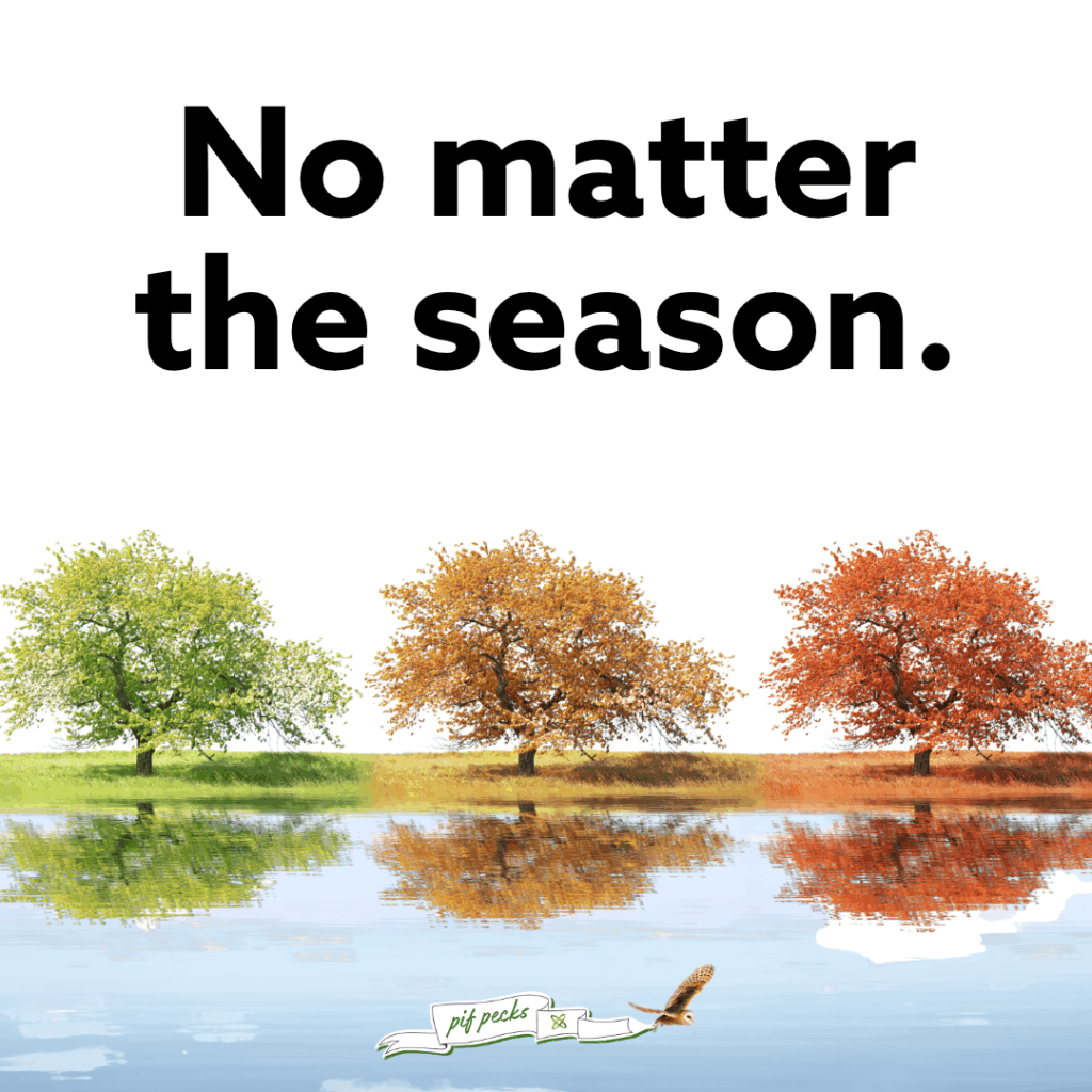No matter the season. Image shows trees in different "seasons". PIF pecks banner is flying at the bottom.